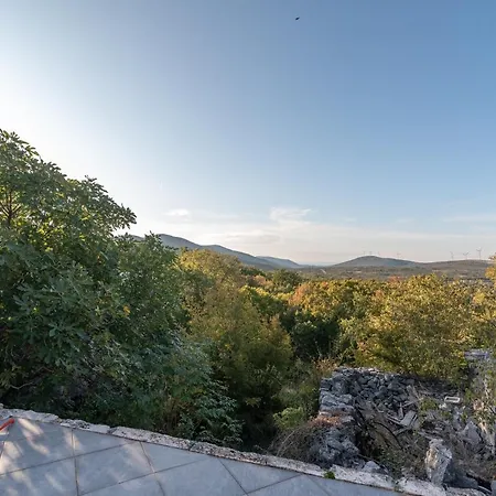 Roko Trogir-ljubitovica *